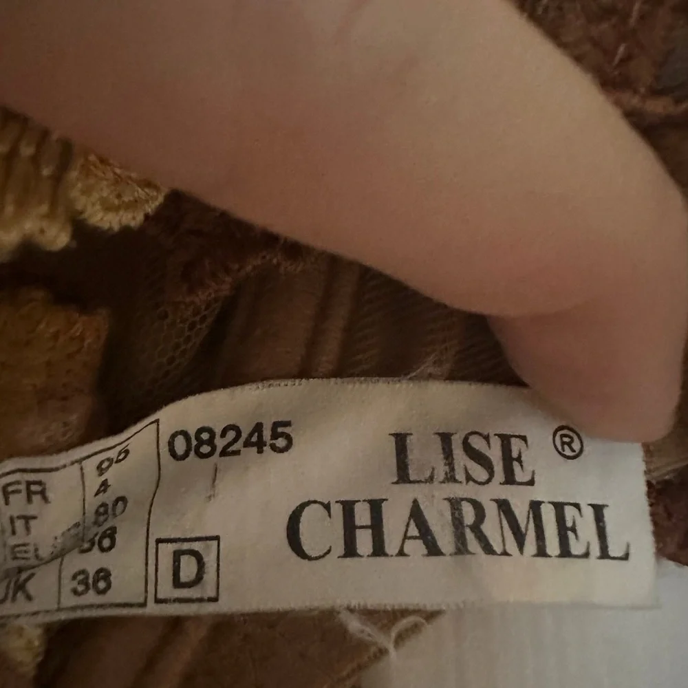 Lise Charmel Mesh Bra - Picture 3 of 3